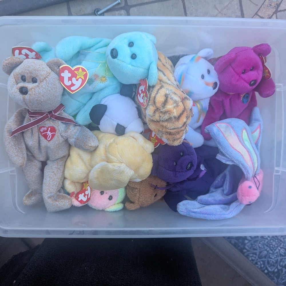 MYSTERY Vintage Beanie Baby box